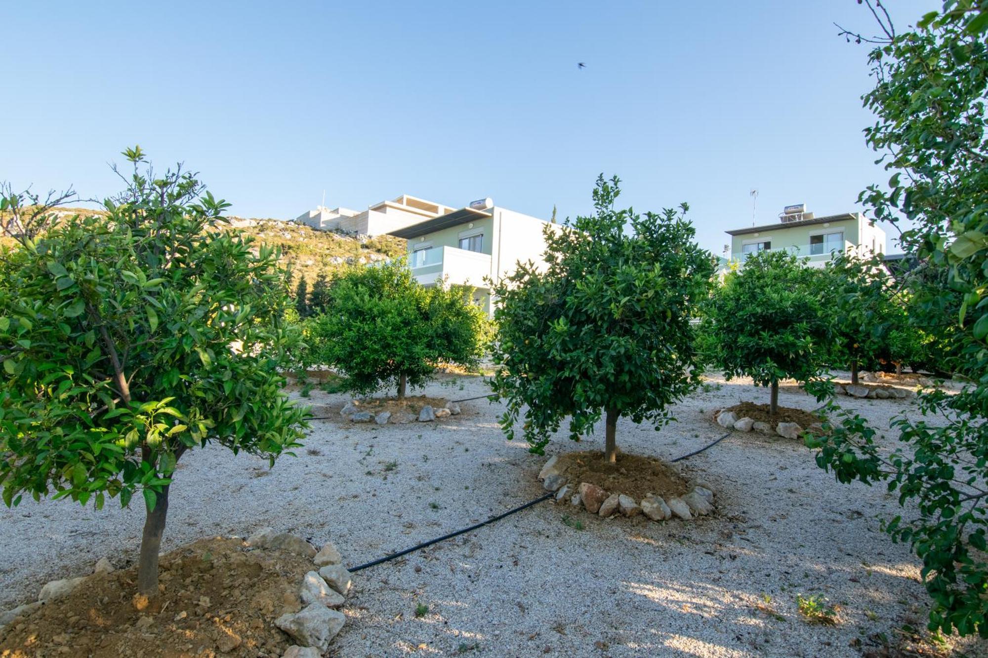 卡塔基斯别墅 Agios Onoufrios 外观 照片