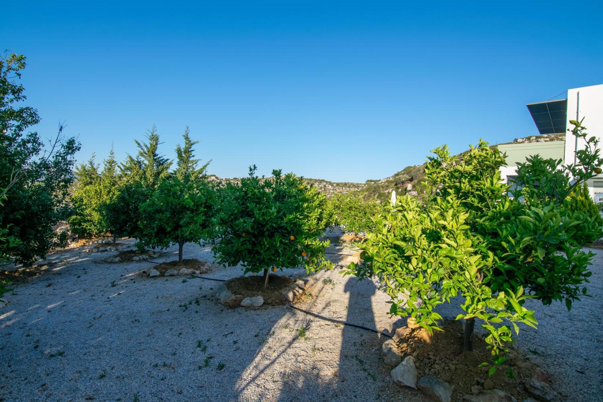 卡塔基斯别墅 Agios Onoufrios 外观 照片