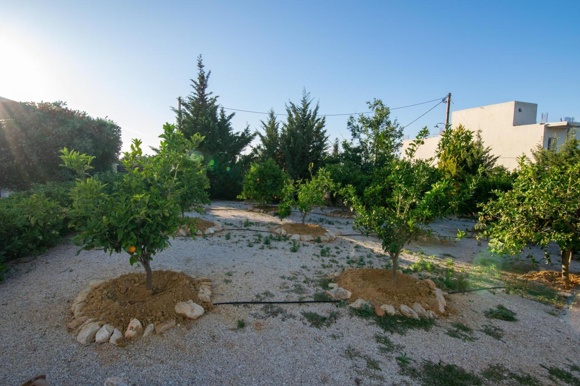 卡塔基斯别墅 Agios Onoufrios 外观 照片