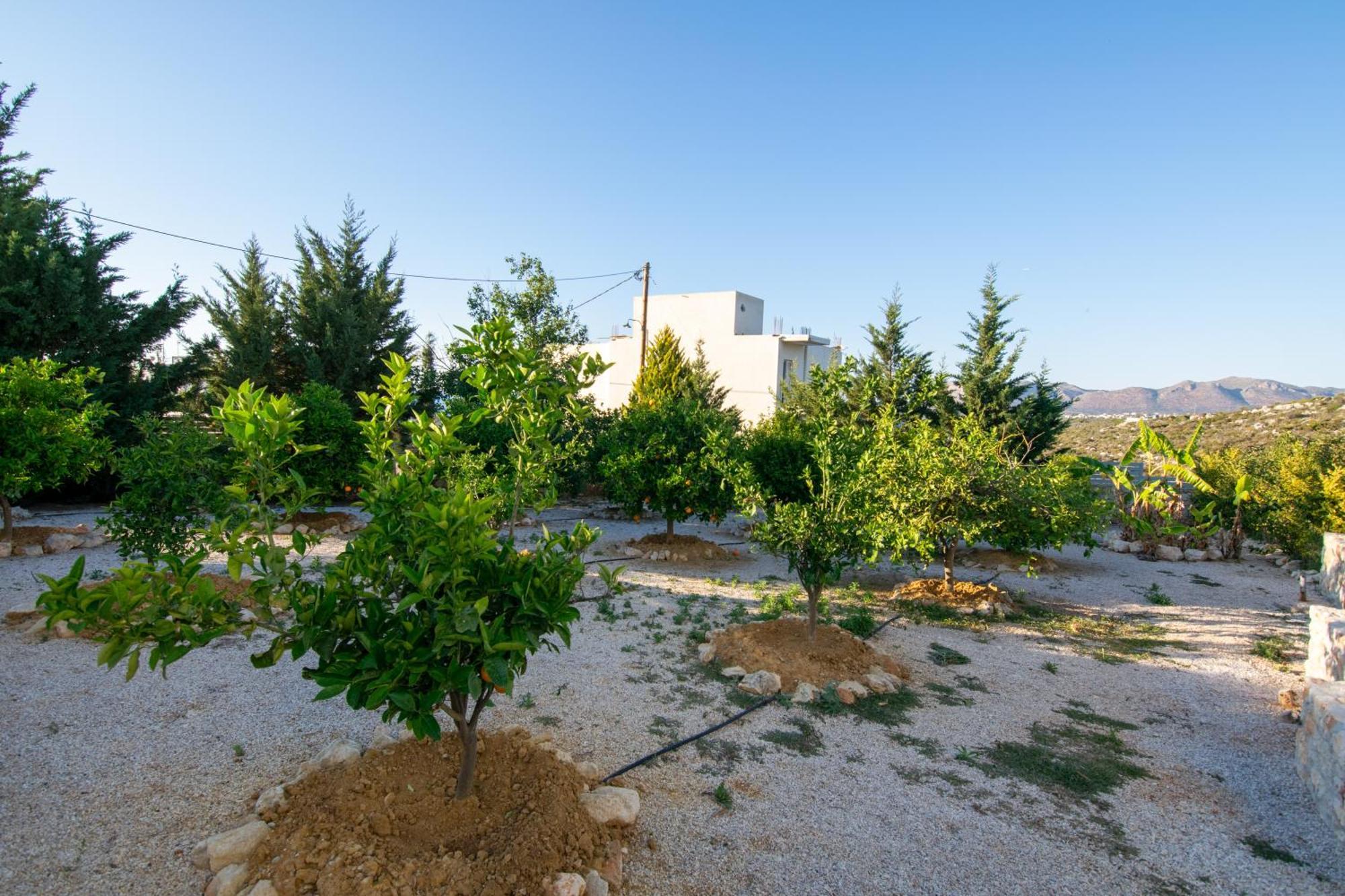 卡塔基斯别墅 Agios Onoufrios 外观 照片