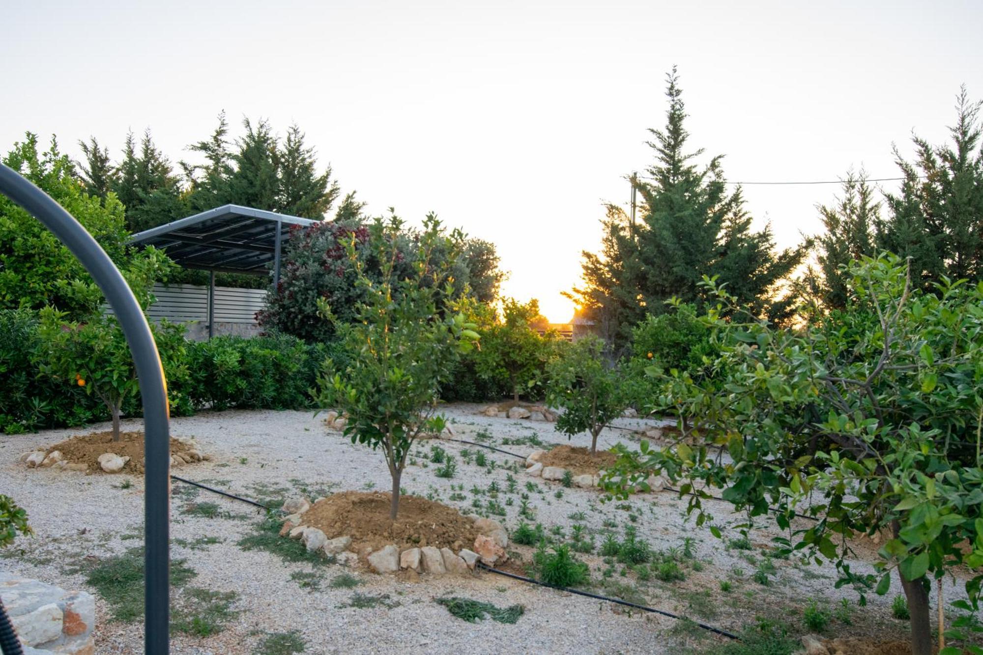 卡塔基斯别墅 Agios Onoufrios 外观 照片